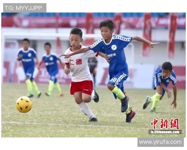 南京排球队的拼搏之路：邀请赛背后的奋斗与荣耀