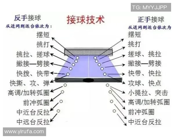 北京乒乓球队速度分析与训练策略探讨助力竞技水平提升