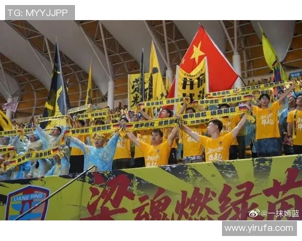 重庆排球队灵活性引发热议球迷与专家观点大碰撞 重庆排球队灵活性引发热议球迷与专家观点大碰撞