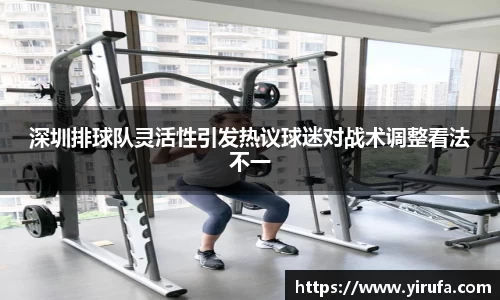 深圳排球队灵活性引发热议球迷对战术调整看法不一