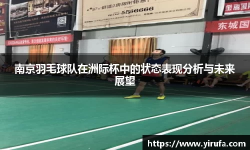 南京羽毛球队在洲际杯中的状态表现分析与未来展望