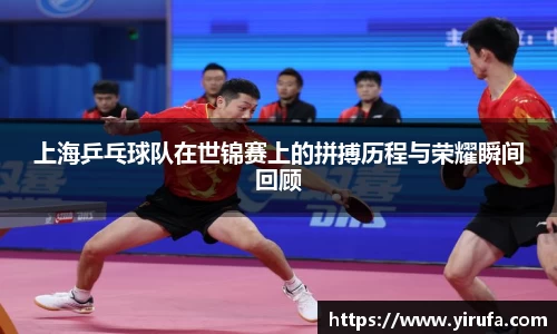 上海乒乓球队在世锦赛上的拼搏历程与荣耀瞬间回顾