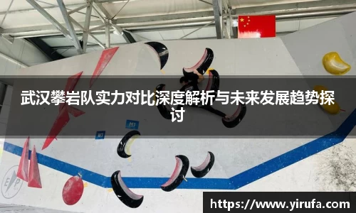 武汉攀岩队实力对比深度解析与未来发展趋势探讨