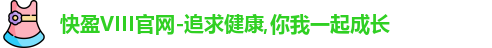 快盈VIII